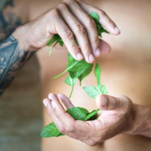  Gel doccia 3 in 1 per uomo Energia di menta flacone 500 ml