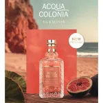 Acqua Colonia Fig & Vetiver acqua di colonia unisex 100 ml