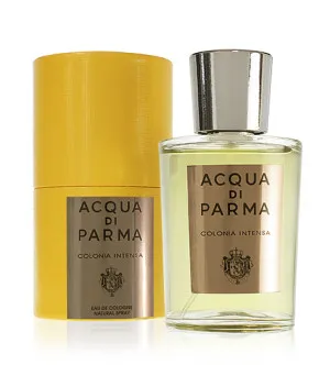 Acqua Di Parma Colonia Intensa acqua di colonia per uomo 100 ml