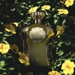 Afnan Highness X Eau de Parfum da uomo
