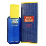Agua Quorum Eau de Toilette da uomo 100 ml