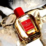 Ambassadora For Women Eau de Parfum da donna 100 ml