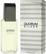 Quorum Silver eau de toilette 100 ml per uomo