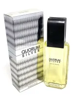 Quorum Silver eau de toilette 100 ml per uomo