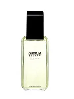 Quorum Silver eau de toilette 100 ml per uomo
