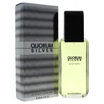 Quorum Silver eau de toilette 100 ml per uomo