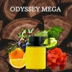 Odyssey Mega Edizione Limitata M Eau de Parfum 100 ml