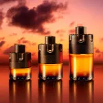 The Most Wanted profumo per uomo 100 ml