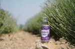 Purity Vision Acqua di lavanda biologica 100 ml