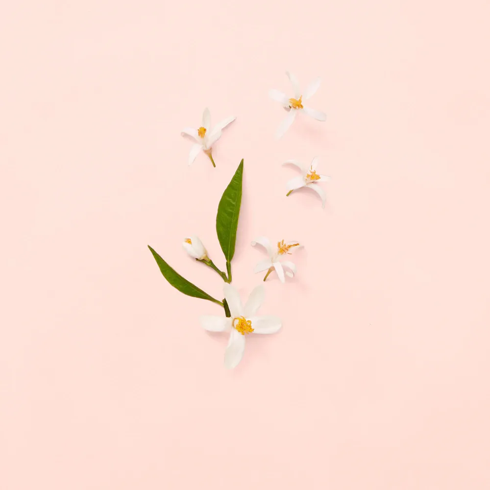 Bloom Eau de Toilette da donna 100 ml