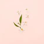 Bloom Eau de Toilette da donna 100 ml