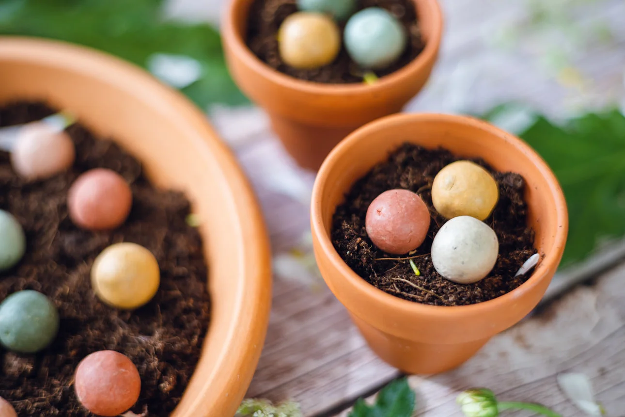 Blossombs Bomba di semi - Decorazione regalo "Per la migliore mamma" - Farfalla (1 pz)