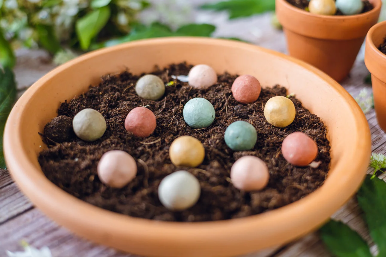 Blossombs Bomba di semi - Decorazione per regalo "Tanti auguri" - Torta di compleanno (1 pz)