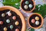 Blossombs Bombe di semi - Confezione regalo piccola - Felice nuova casa (7 pz) - un regalo originale e pratico in uno