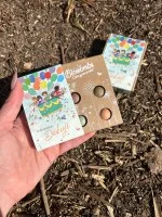 Blossombs Bombe di semi - Set regalo mini - Mille volte grazie per tutto (4 pz) - regala un fiore in modo diverso