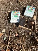 Blossombs Bombe di semi - Set regalo mini - Mille volte grazie per tutto (4 pz) - regala un fiore in modo diverso