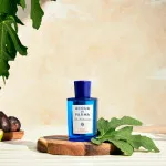 Blu Mediterraneo Fico di Amalfi acqua da toilette unisex 100 ml