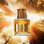 Bois Pacifique Eau de Parfum da uomo 100 ml