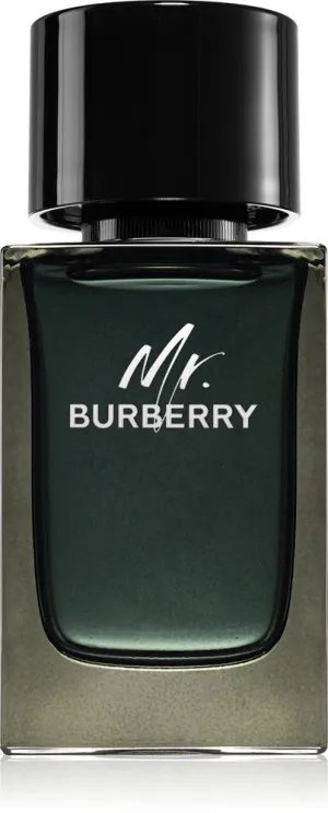 Burberry Mr. Burberry eau de parfum per uomo 100 ml