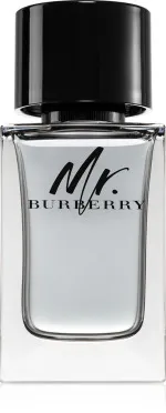 Mr. Burberry eau de toilette per uomo 100 ml
