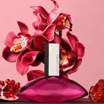 Euphoria eau de parfum per donne 50 ml