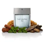 Truth For Men eau de toilette 100 ml per uomo