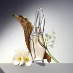 Cashmere Mist eau de toilette da donna 100 ml