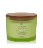 Awaken + Invigorate candela profumata con 3 stoppini 312 g