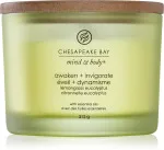 Awaken + Invigorate candela profumata con 3 stoppini 312 g