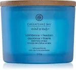 Candela profumata Chesapeake Bay Confidence + Freedom a 3 stoppini 312 g