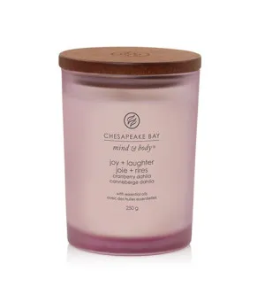 Candela profumata Chesapeake Bay Joy + Laughter 250 g
