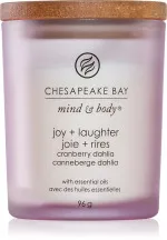 Candela profumata Chesapeake Bay Joy + Laughter 355 g