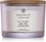 Candela profumata Chesapeake Bay Joy + Laughter con 3 stoppini 312 g