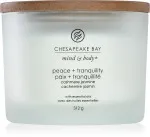 Candela profumata Chesapeake Bay Peace + Tranquility con 3 stoppini 312 g