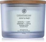 Candela profumata Chesapeake Bay Serenity + Calm con 3 stoppini 312 g