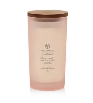 Candela profumata Chesapeake Bay Stillness + Purity 355 g