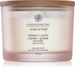 Candela profumata Chesapeake Bay Stillness + Purity con 3 stoppini 312 g