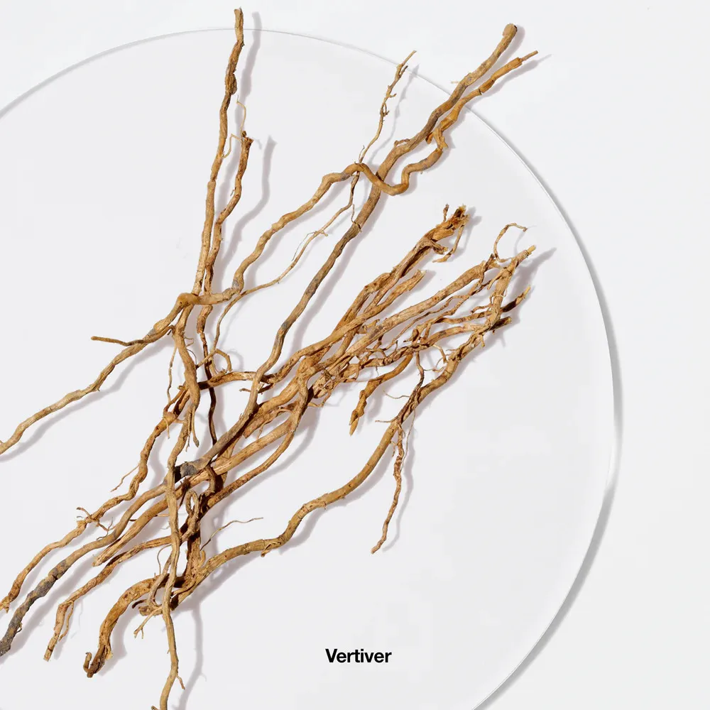 Aromatics Elixir eau de parfum 100 ml per donne