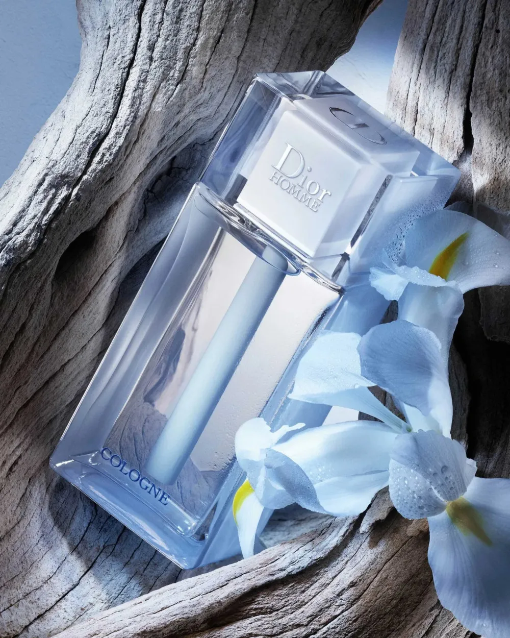 Homme Cologne 2013 acqua di colonia per uomo 75 ml