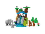 DUPLO® 10446 Famiglie di animali selvatici 3 in 1
