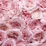 Especially Eau de Parfum da donna 30 ml
