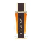 Spicy Leather Eau de Parfum da uomo 100 ml