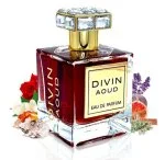 Divin Aoud Eau de Parfum Unisex 100 ml