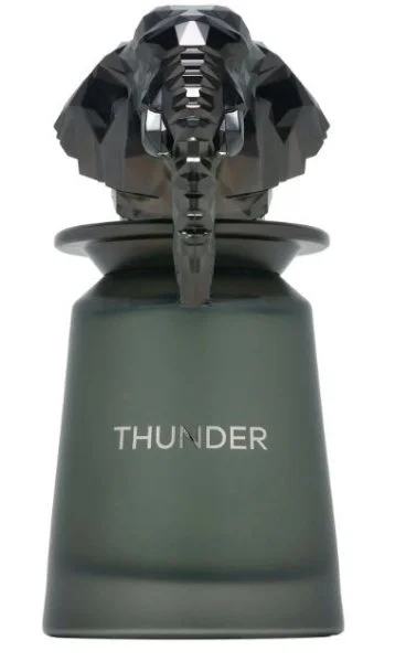 Thunder U Eau de Parfum 100 ml