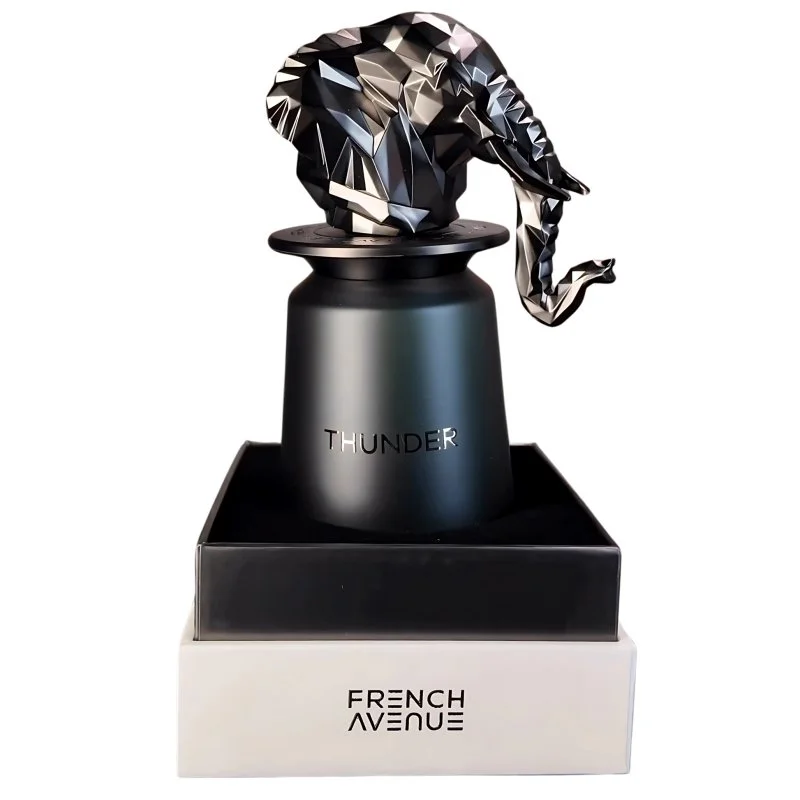 Thunder U Eau de Parfum 100 ml