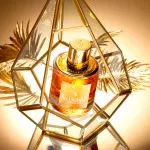 Ambassador For Women eau de parfum per donne 50 ml