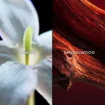 Samsara eau de parfum per donne 75 ml