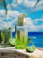 Mojito Obsession Eau de Parfum unisex 100 ml