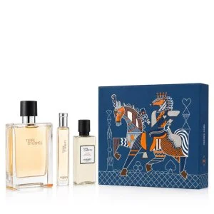 Hermes Terre D'Hermès 100 ml + EDT 15 ml + AS eau de toilette da uomo