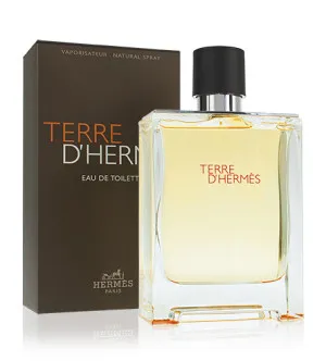 Hermes Terre d'Hermes eau de toilette per uomo 100 ml